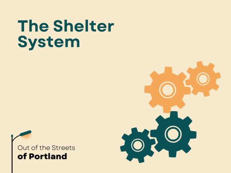 Tan background. OOTSOP logo on bottom left. Graphic of orange and dark green gears on bottom right. Text: The Shelter System.